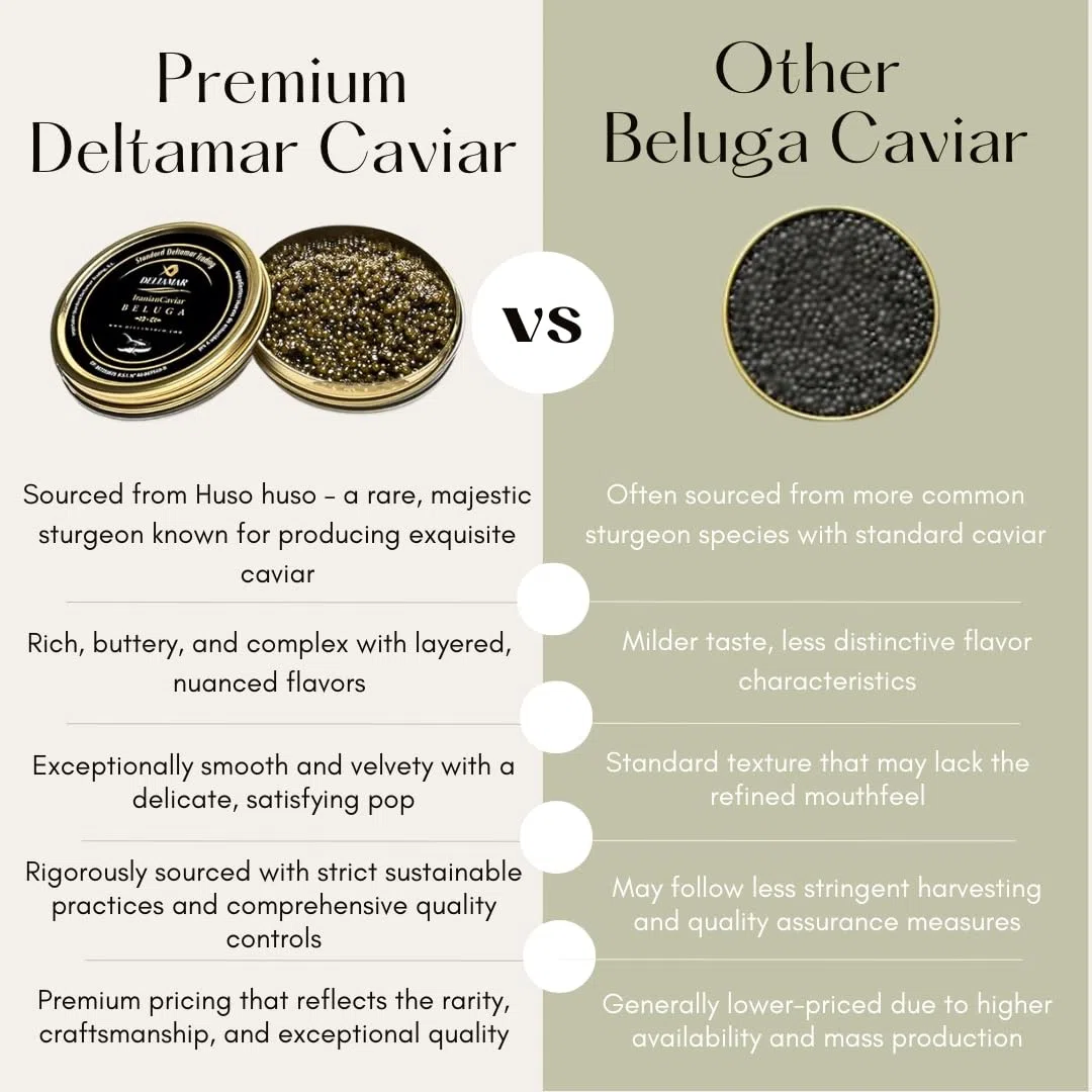 Beluga Caviar 100 g - Classical Sturgeon Kaviar - Premium Quality Siberian Huso Huso Orginial Finest Flavor Caviar - Deltamar Caviar CITES Certified