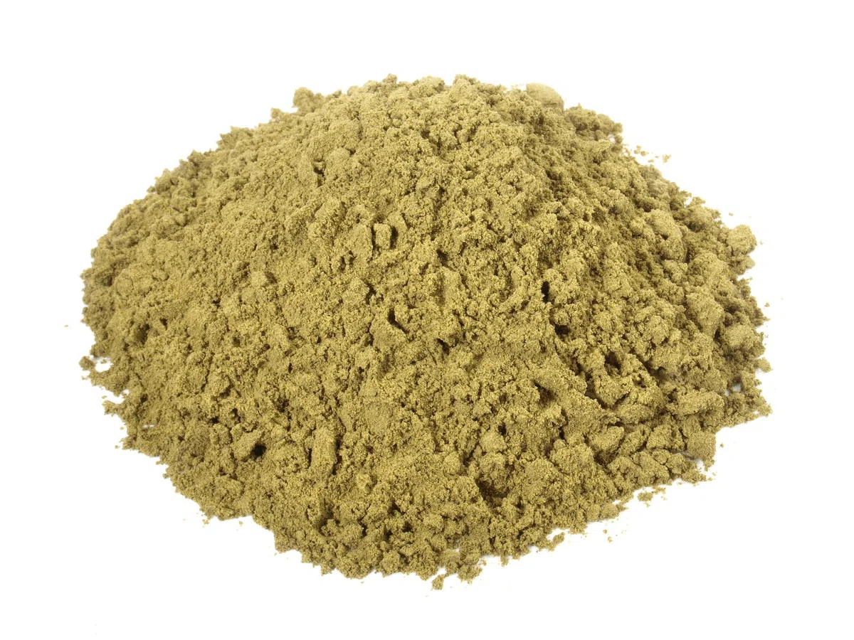 25 kg Ginkgo Biloba Pulver | Ginkgo Baum | Superfood | gemahlen | Buxtrade |