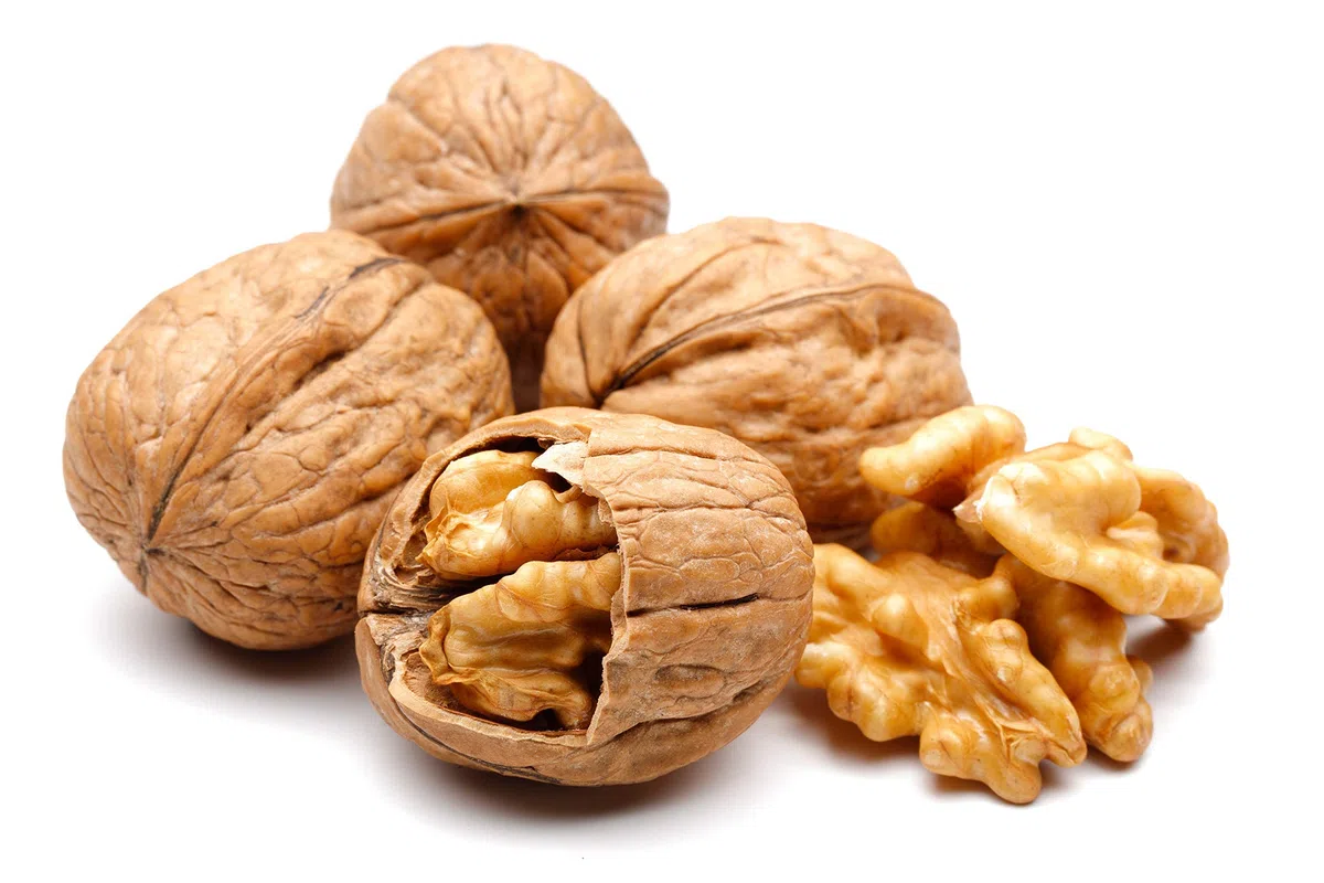 Natural Food Walnusskerne - Naturbelassen Unbehandelte Nüsse - Lecker und gesund - Rohkost - Essentielle Fettsäuren OMEGA 3 - Gentechnikfrei Vegan Roh Natürlich Naturbelassen Unbehandelt - 25 kg