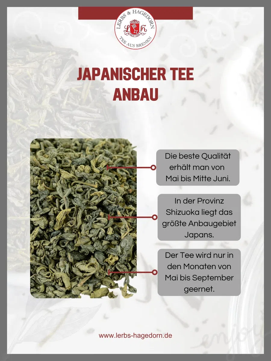 Lerbs & Hagedorn, Bio Japan Sencha extra fine |Herb, Leicht 1kg (ca. 81 Liter) Grüner Tee, Leichte Tasse