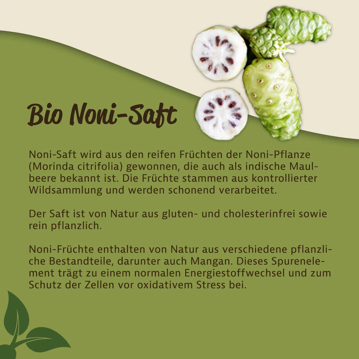 Mynatura Bio Noni-Saft 6x 1 Liter Glasflasche I Noni Direktsaft I 100% pflanzlich I Ohne Zusätze I Fruchtsaft aus Morinda citrifolia L. (6 x 1L Flasche)