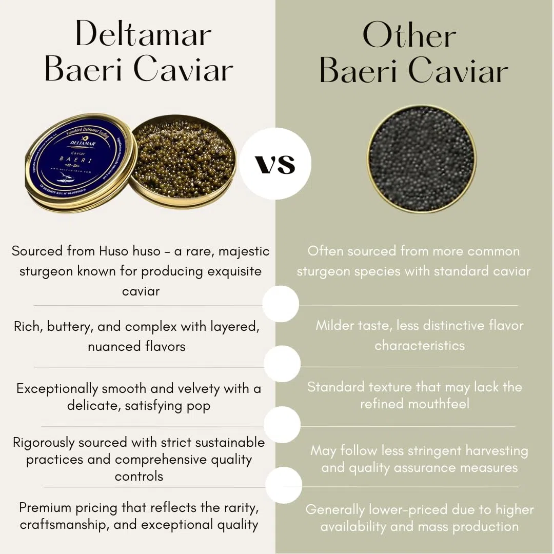 Baeri Kaviar 100 g - Beluga Baeri Imperial & Classical Sturgeon Caviar - Premium Quality Siberian Huso Huso Orginial Beluga Kaviar - Finest & Authentic Deltamar CITES Certified