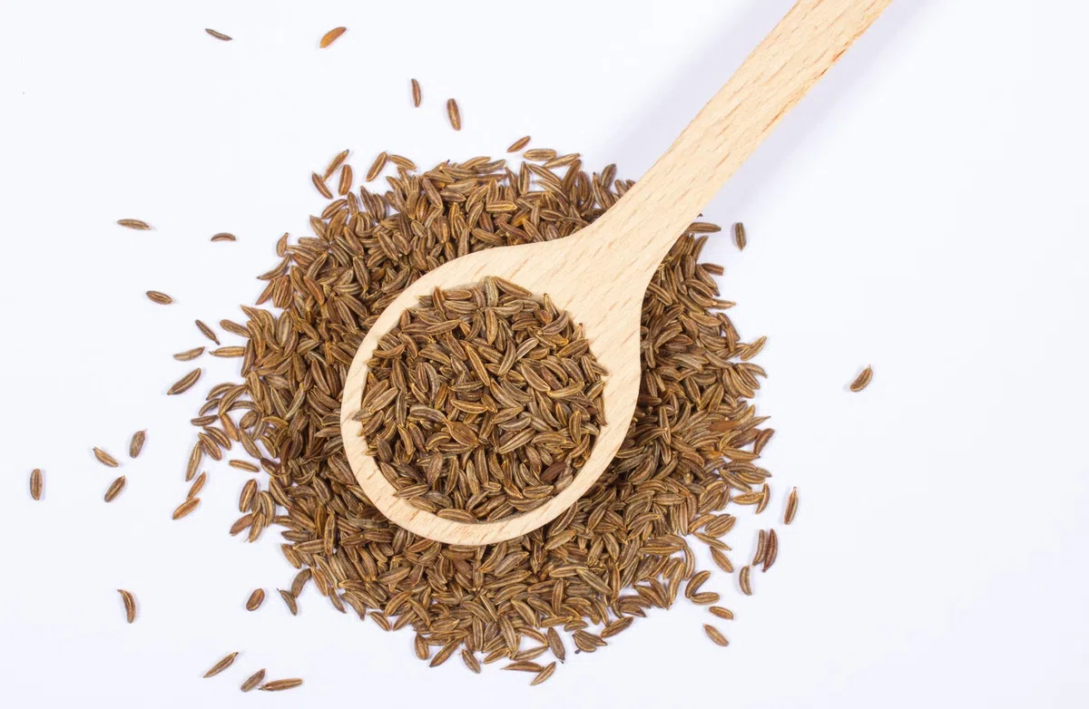 10 x 1 kg Kreuzkümmel | ganz | Cumin | Kümmel | Samen | Gewürz | 10 kg
