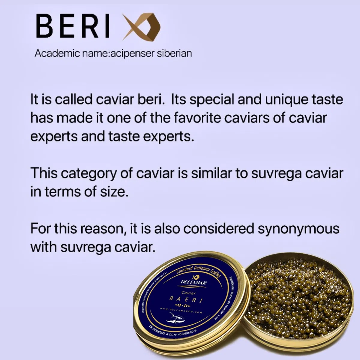 Baeri Kaviar 100 g - Beluga Baeri Imperial & Classical Sturgeon Caviar - Premium Quality Siberian Huso Huso Orginial Beluga Kaviar - Finest & Authentic Deltamar CITES Certified