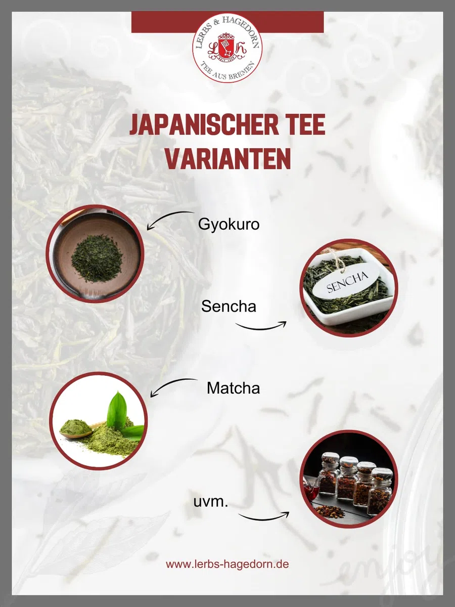 Lerbs & Hagedorn, Bio Japan Sencha extra fine |Herb, Leicht 1kg (ca. 81 Liter) Grüner Tee, Leichte Tasse