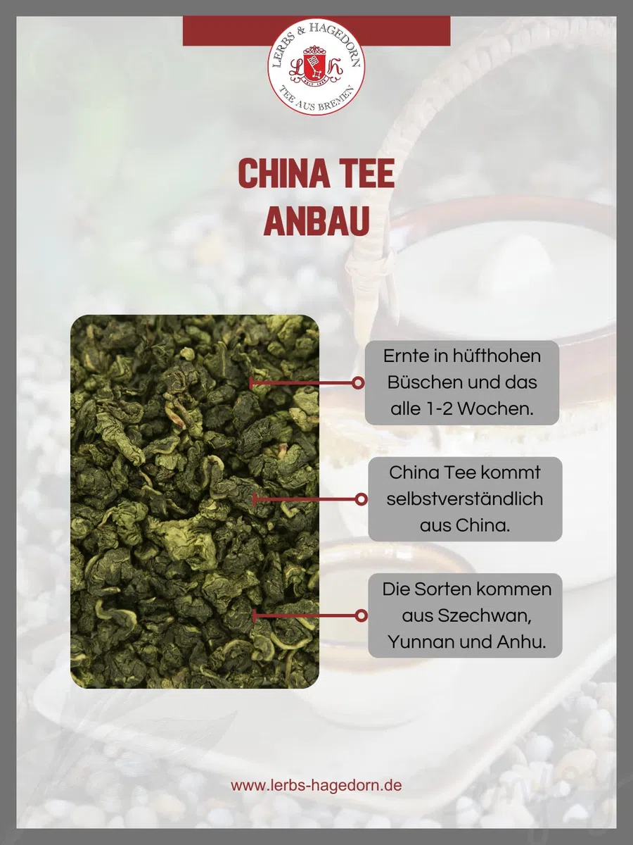 Lerbs & Hagedorn, Weißer China Tee Tai Mu Long Zhu Bio | Weich, Humid, Süßlich 1kg Ca. (81 Liter)