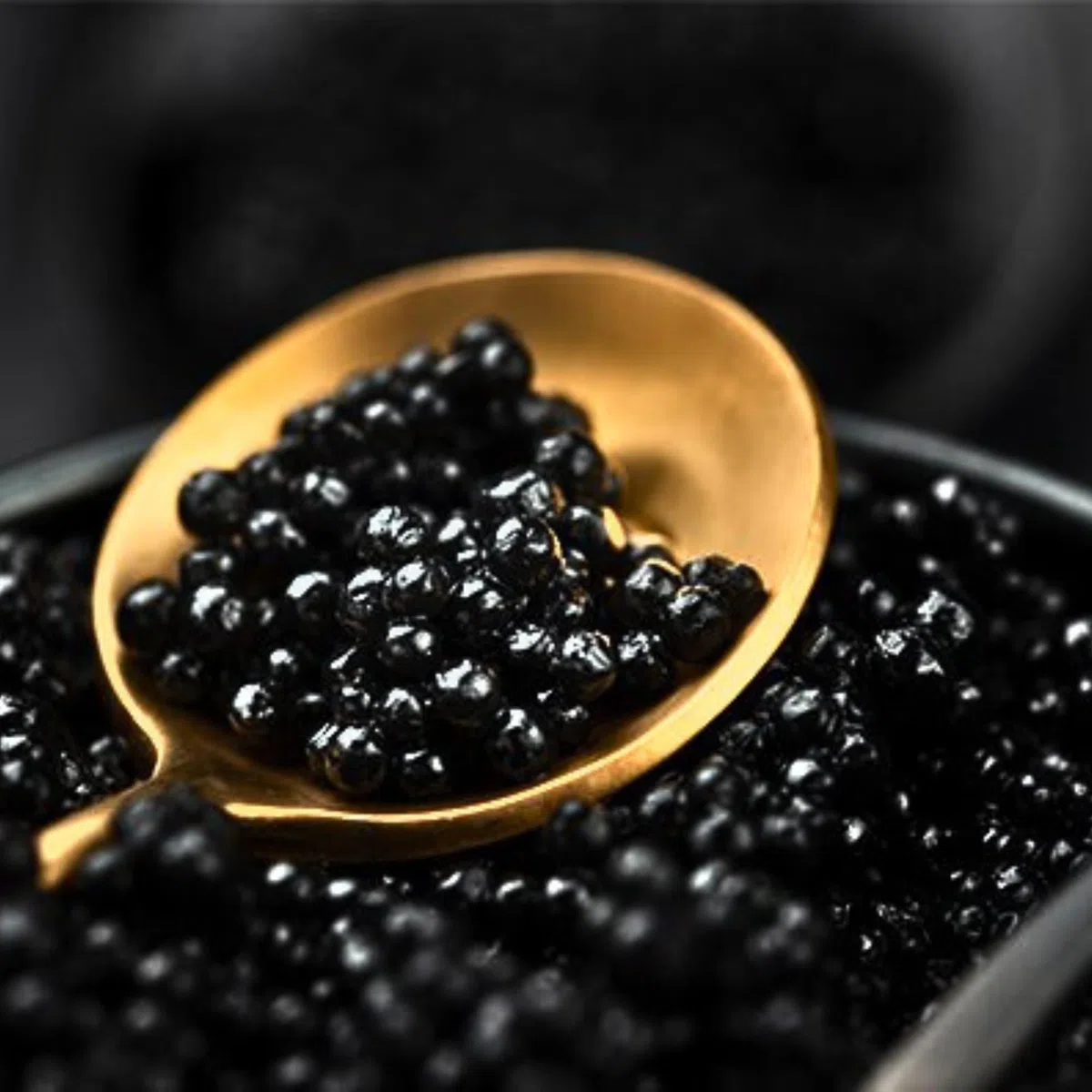 Baeri Kaviar 100 g - Beluga Baeri Imperial & Classical Sturgeon Caviar - Premium Quality Siberian Huso Huso Orginial Beluga Kaviar - Finest & Authentic Deltamar CITES Certified